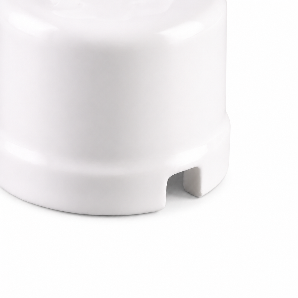 Surface-Mounted Ceramic Rotary Switch — Model 300